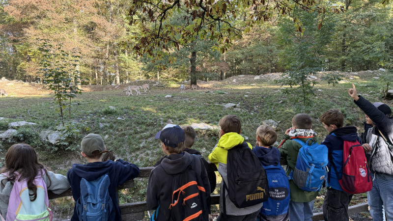 Ein aufregender Tag im Tierpark Bad Mergentheim