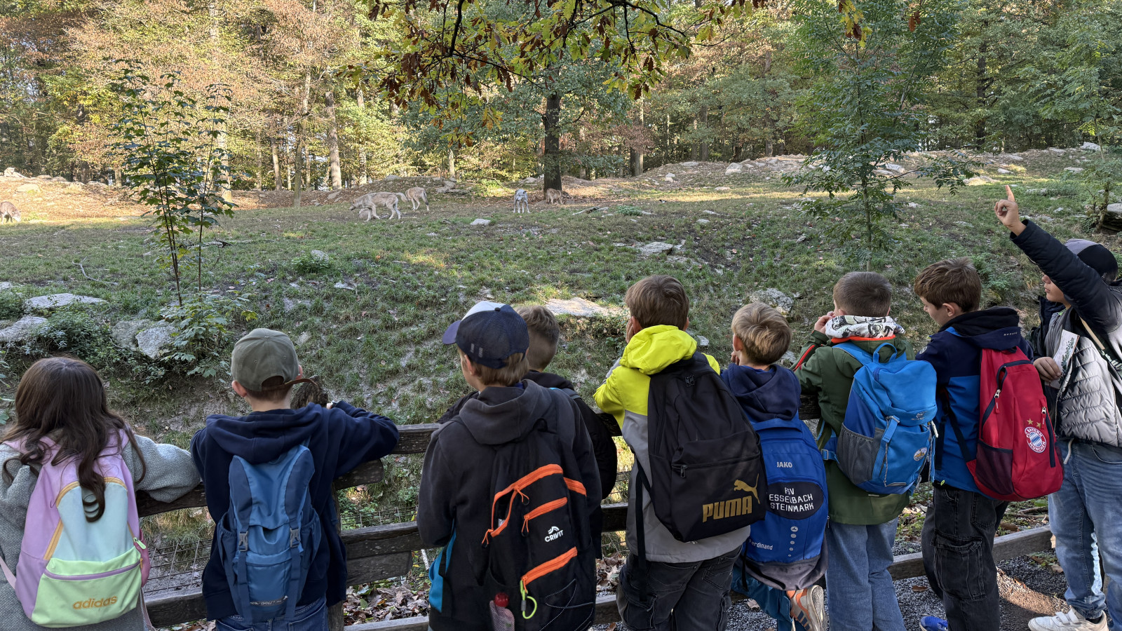 Kinder in Jacken und Rucksäcken schauen über einen Zaun in einen bewaldeten Bereich mit Wildtieren.